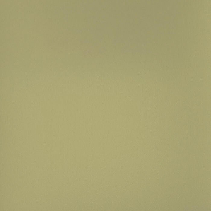 PAT8623 SAGE (PATRIOT PLUS II)