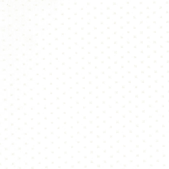 POL1619 BRILLIANT WHITE (POLARIS)