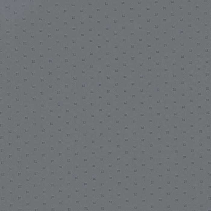 POL1620 GUNMETAL (POLARIS)