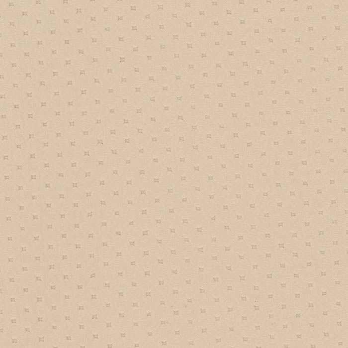 POL1622 SAND DOLLAR (POLARIS)
