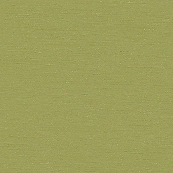 REF7815 GRANNY SMITH (REFLEX)
