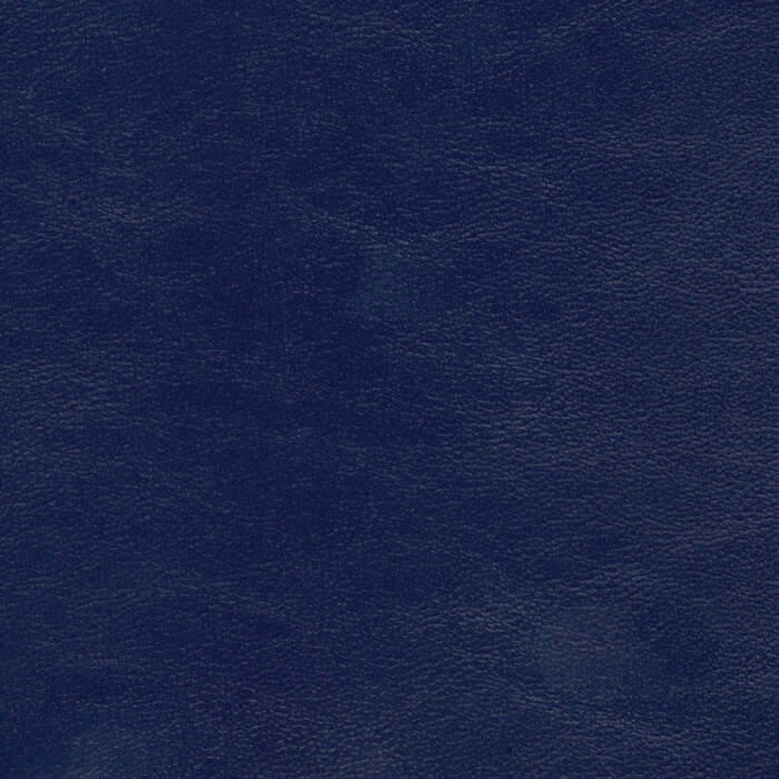SAV9728 NAVY (SAVOY)