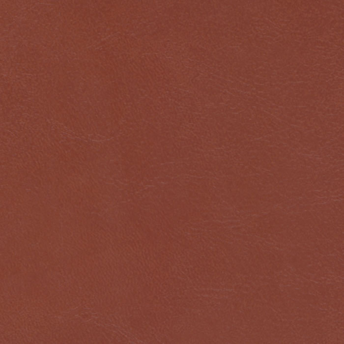 SIS9572 RUST (SIERRA SOFT)
