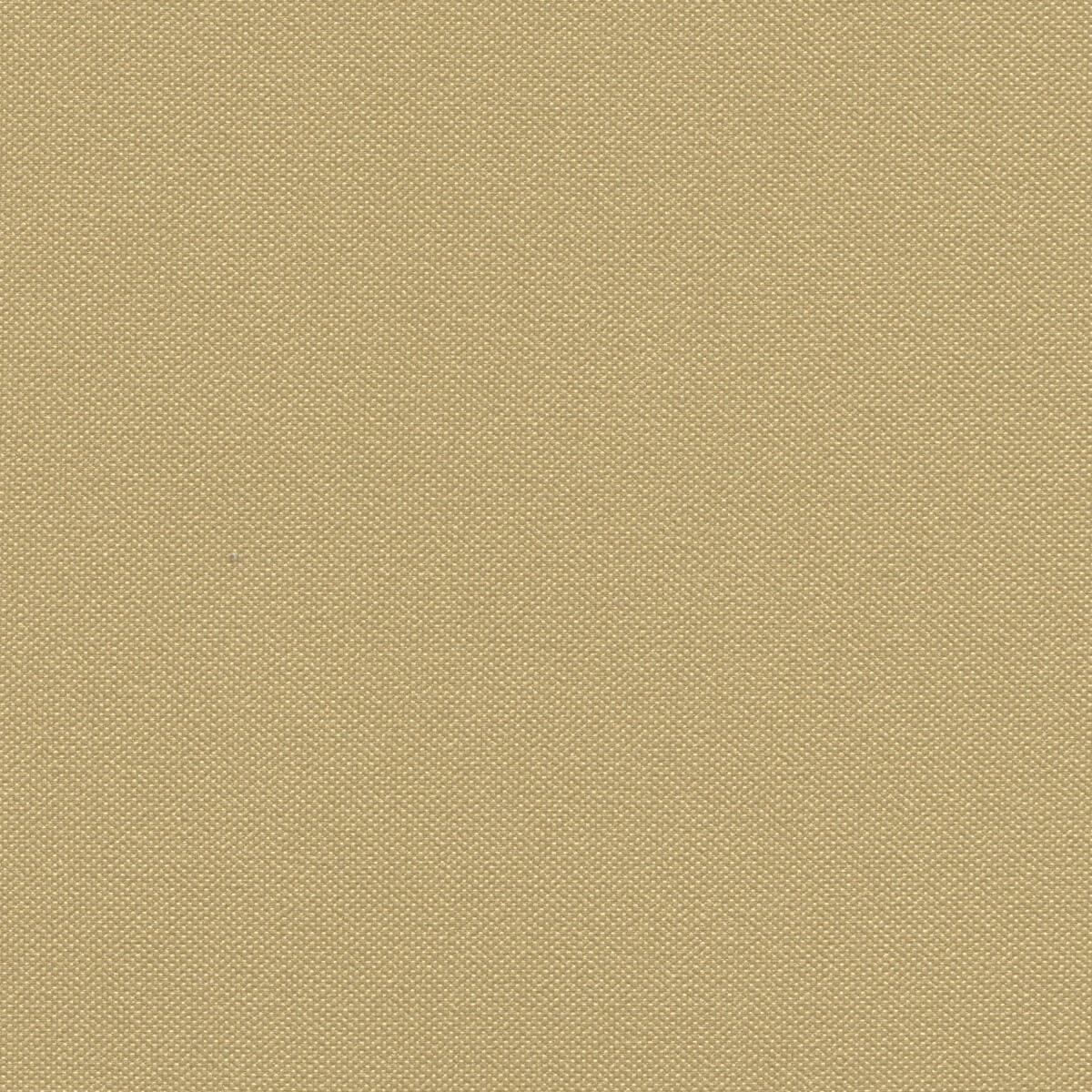 STX8808 CHAMPAGNE (SILVERTEX)