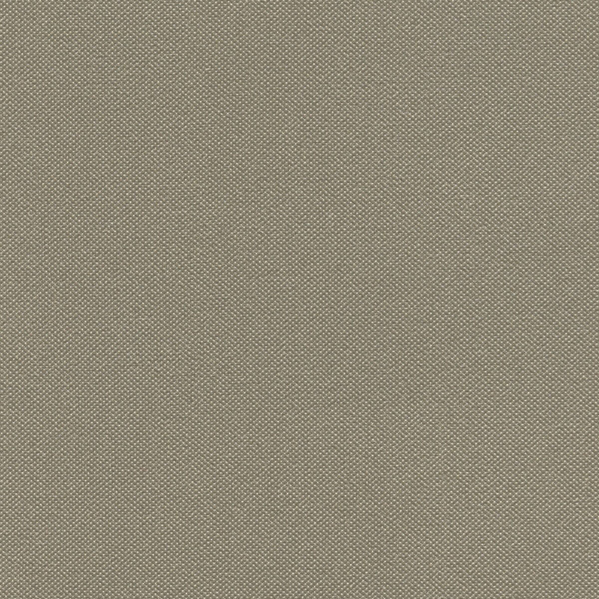 STX8809 TAUPE (SILVERTEX)