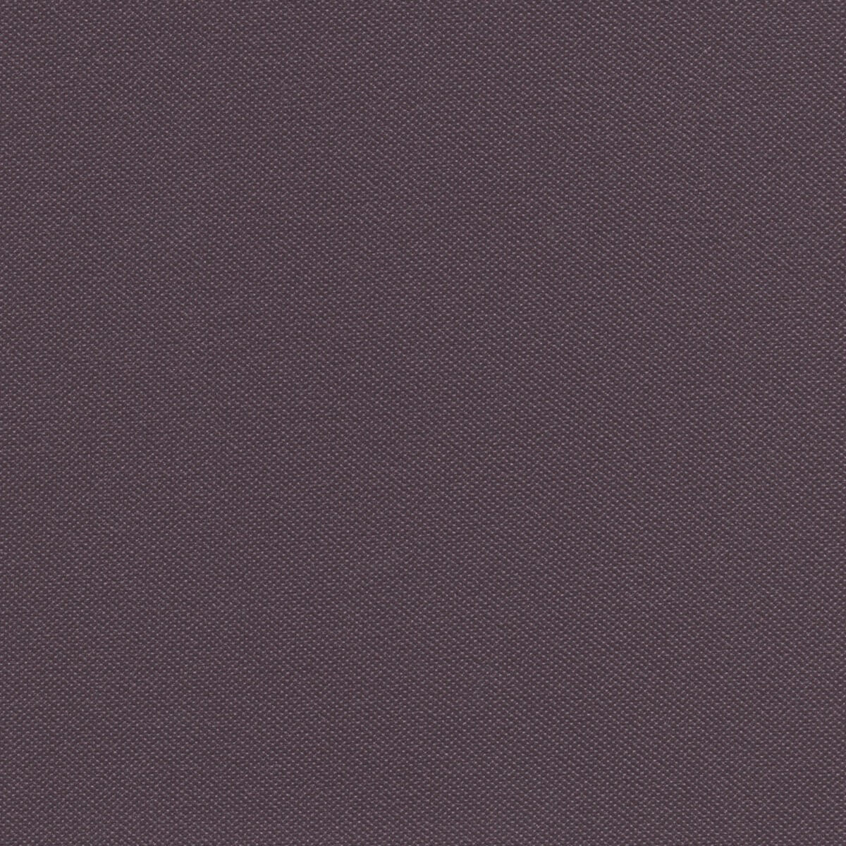 STX8817 BLACKBERRY (SILVERTEX)