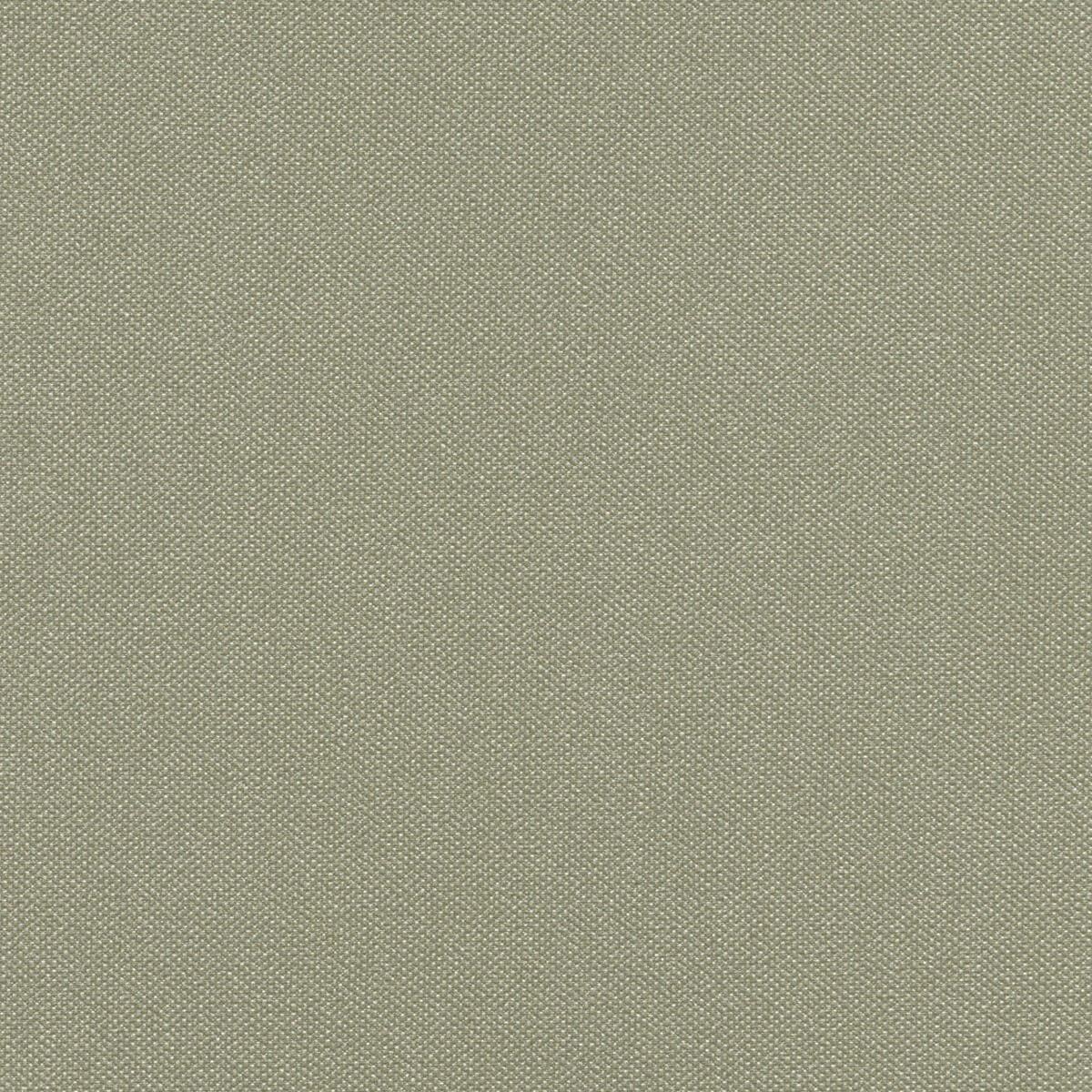 STX8818 SAGE (SILVERTEX)