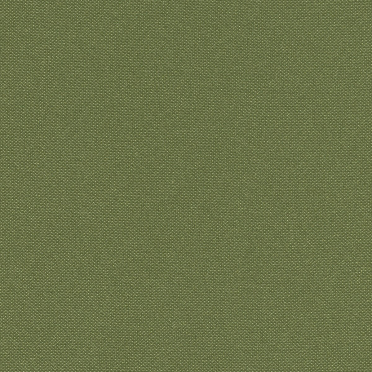 STX8820 BASIL (SILVERTEX)