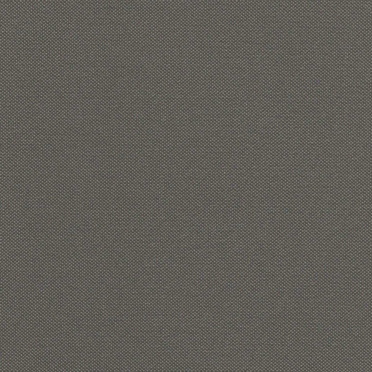 STX8824 METEOR (SILVERTEX)