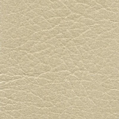 VEN1005 CANVAS (VENETA)