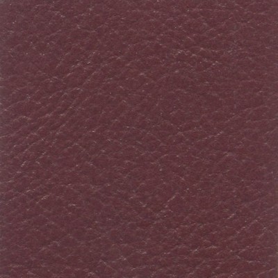 VEN1006 CARDINAL (VENETA)