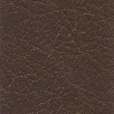 VEN1007 CLOVE (VENETA)