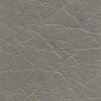 VEN1008 DOVE (VENETA)