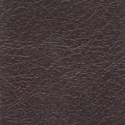VEN1009 GOOSEBERRY (VENETA)