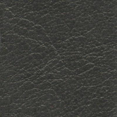 VEN1010 GRAPHITE (VENETA)