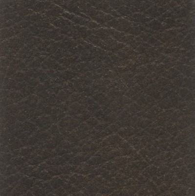 VEN1013 MOLASSES (VENETA)