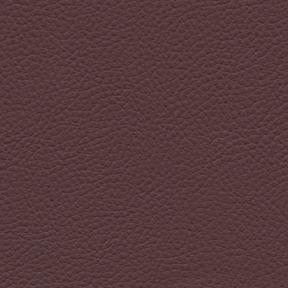 XTR606 WINE (XTREME)