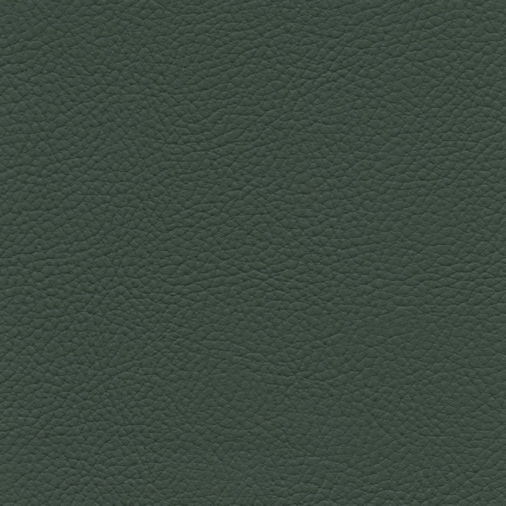 XTR613 FOREST GREEN (XTREME)