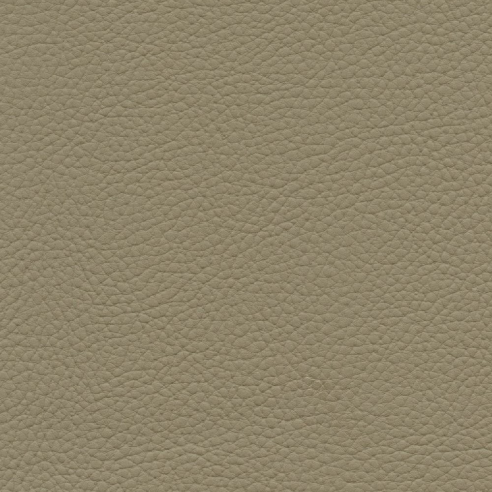 XTR616 WHEAT (XTREME)