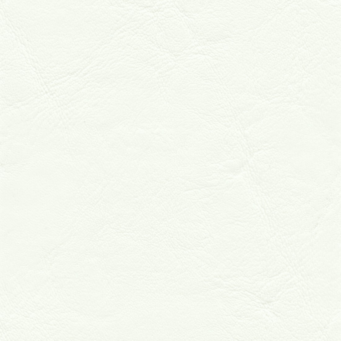 ZAN3102 PURE WHITE (ZANDER)