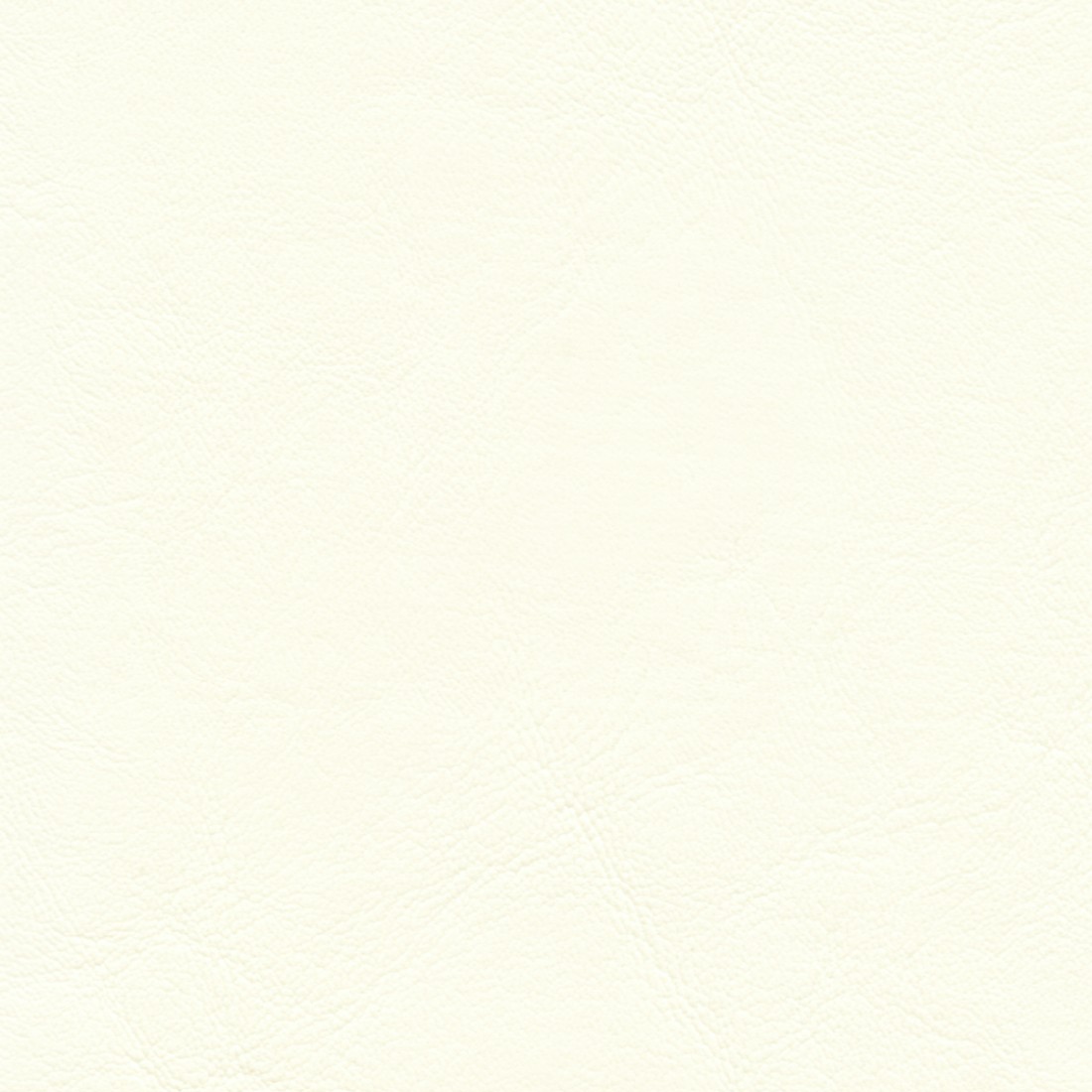ZAN3103 BRILLIANT WHITE (ZANDER)