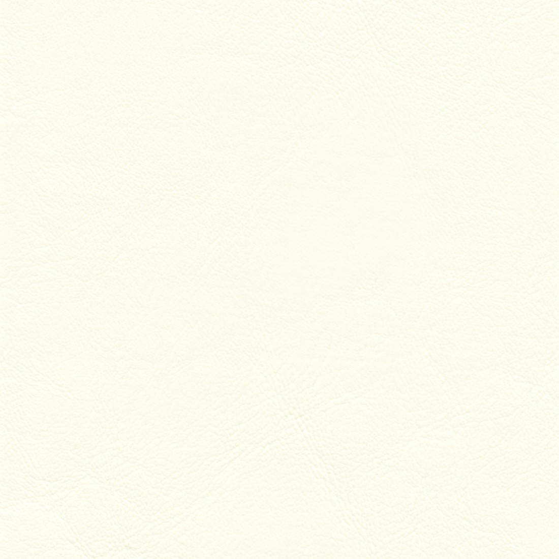 ZAN3104 OFF WHITE (ZANDER)