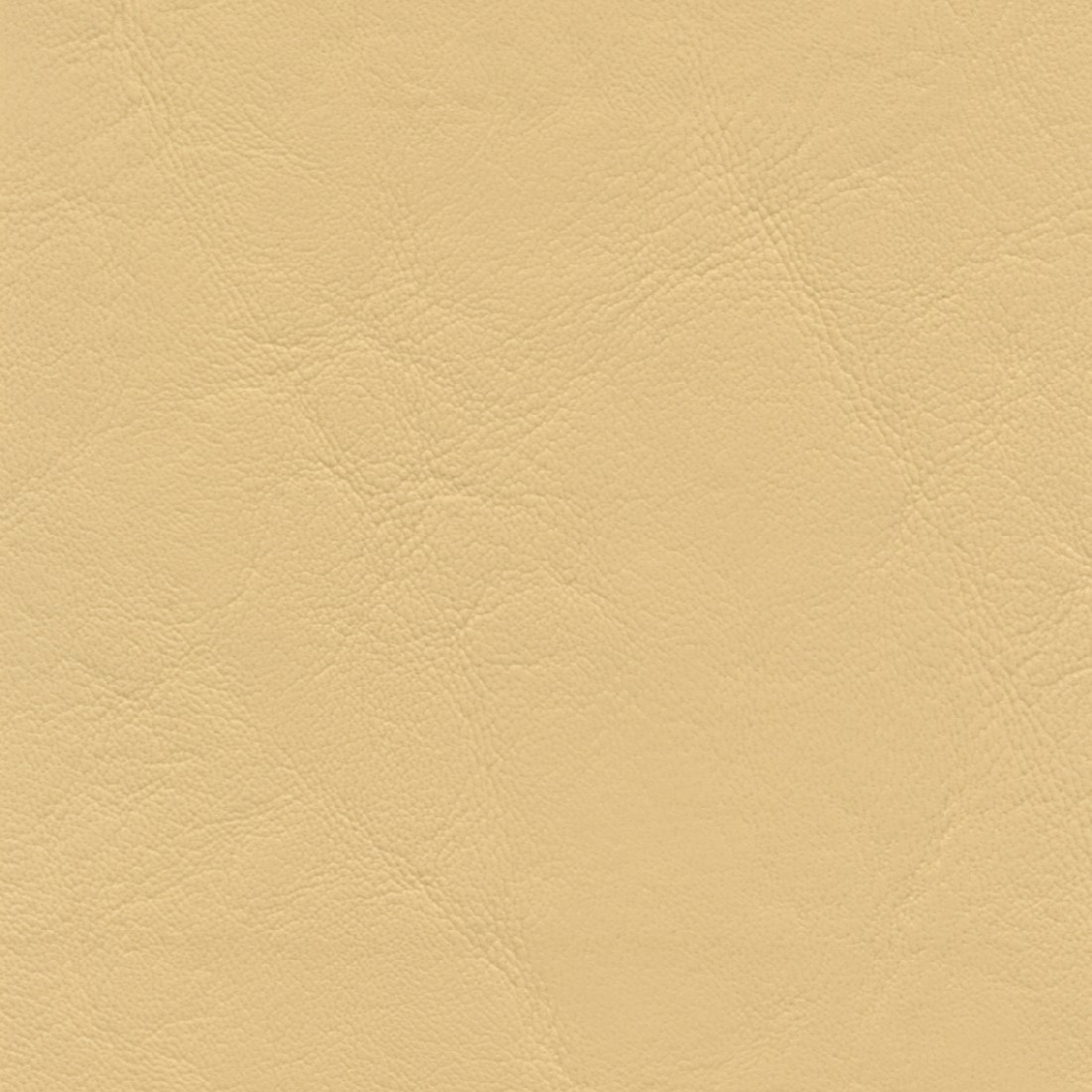ZAN3109 DUNE (ZANDER)