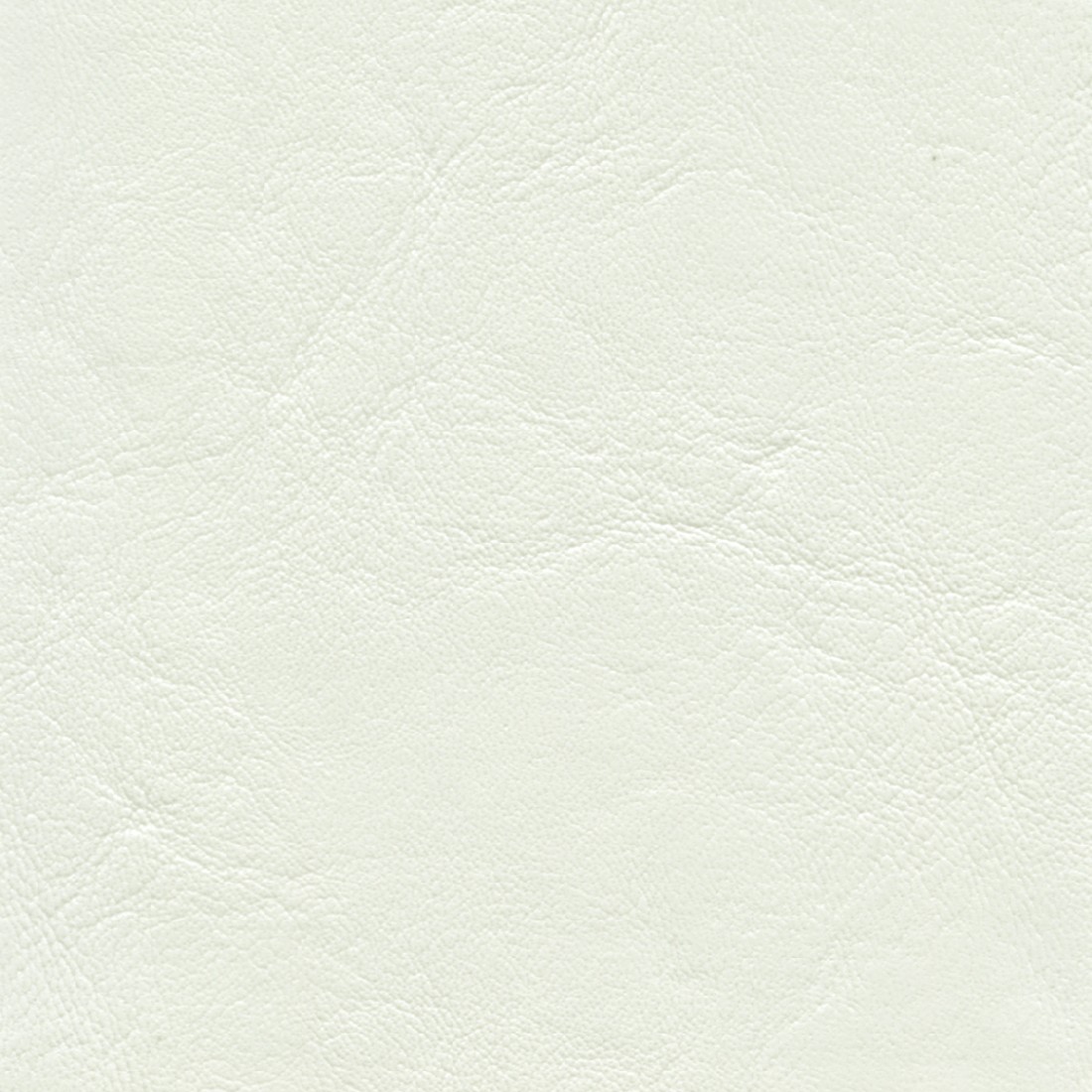 ZAN3110 ARCTIC SKY (ZANDER)