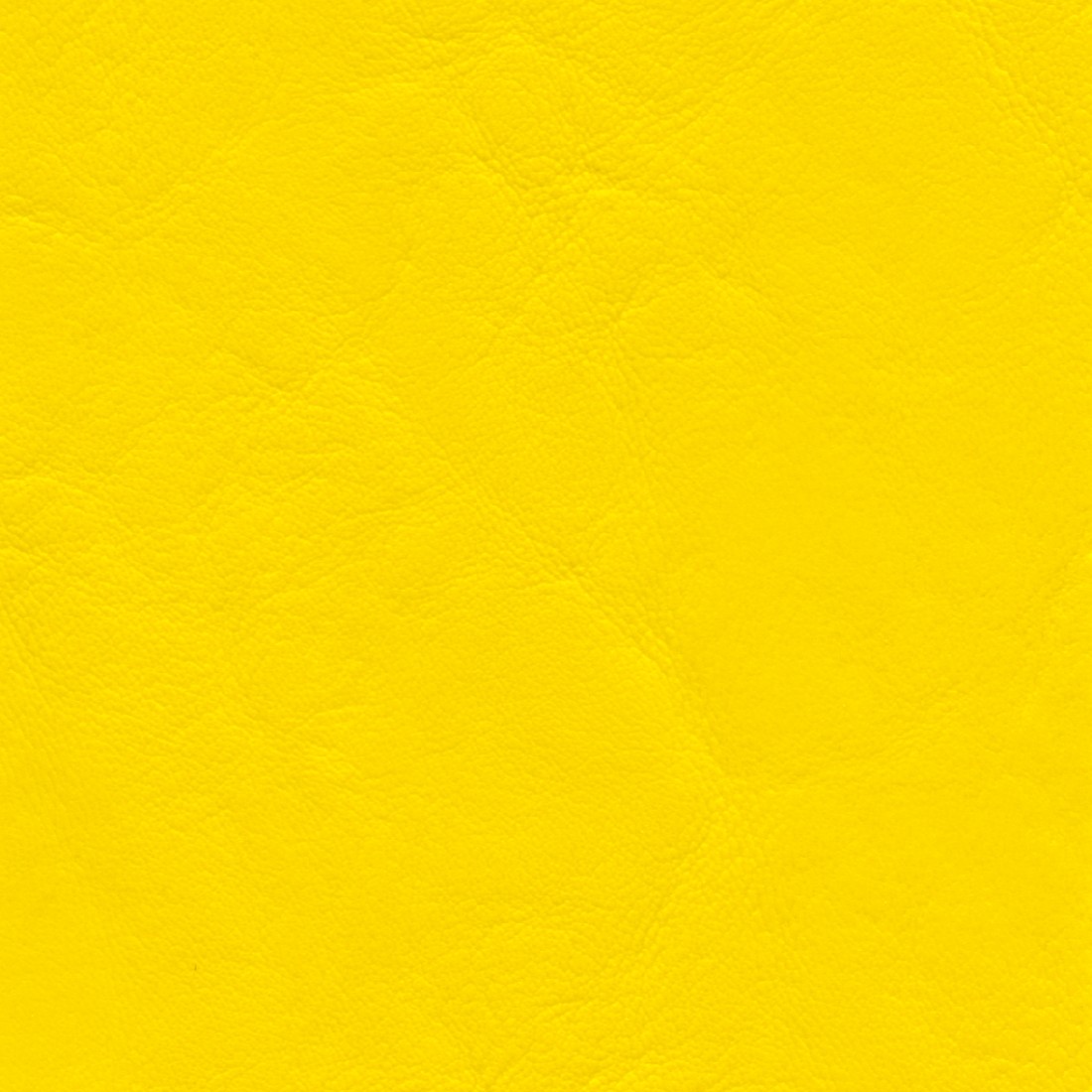 ZAN3114 YELLOW (ZANDER)