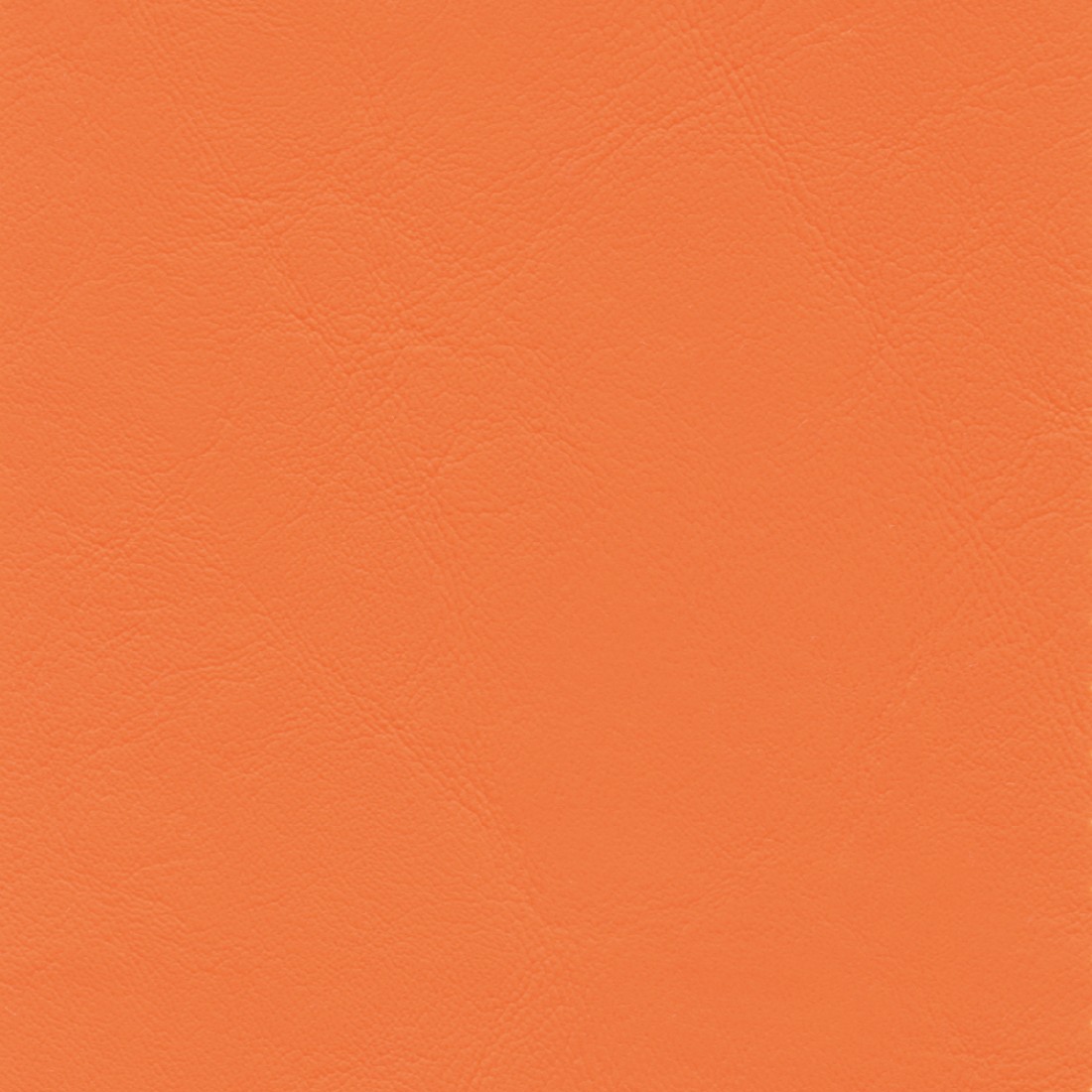 ZAN3116 PAPAYA (ZANDER)