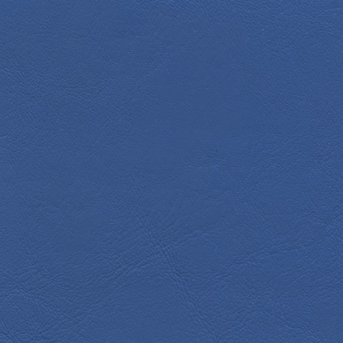 ZAN3123 TRUE BLUE (ZANDER)