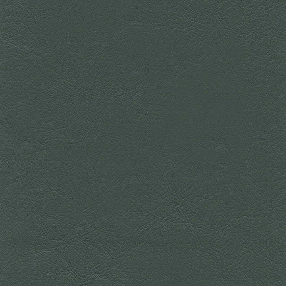 ZAN3125 FOREST (ZANDER)